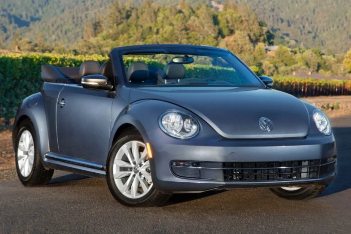 How much would a volkswagen beetle cost