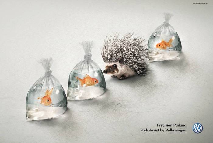 Volkswagen hedgehog and fish ad analysis