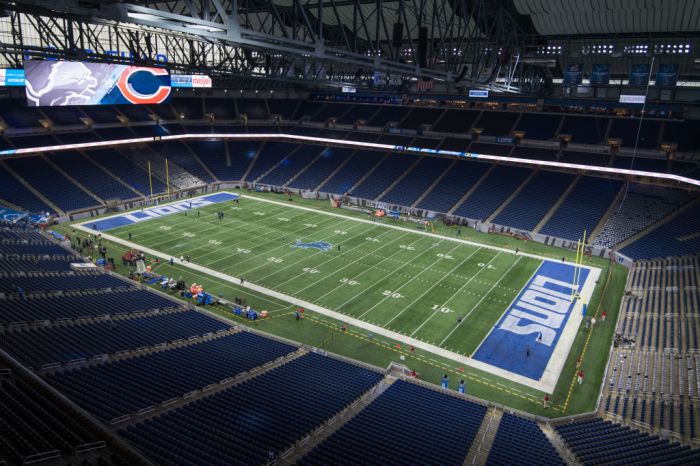Does ford field have real grass