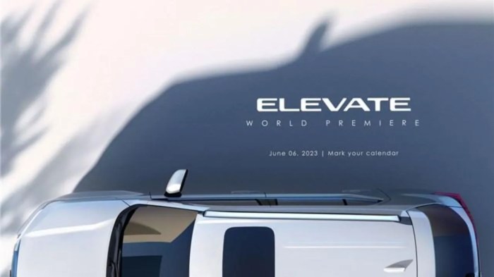 Does honda elevate have sunroof