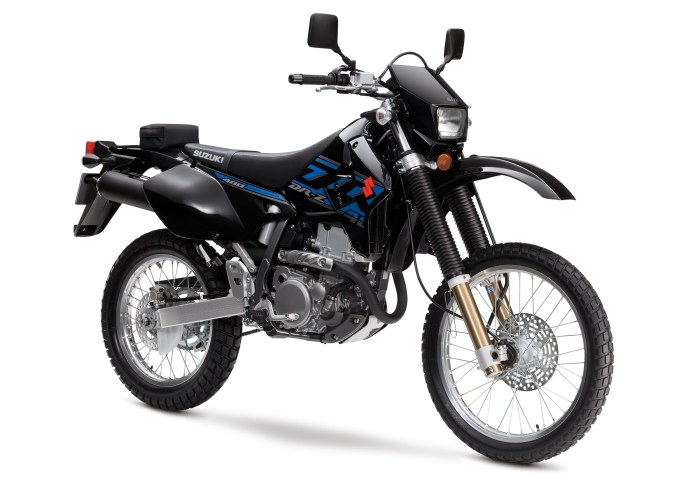What does suzuki dr stand for
