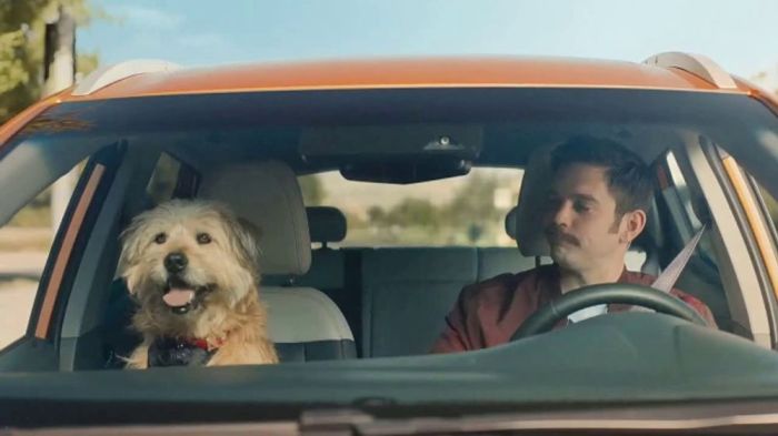 Who is in the volkswagen commercial