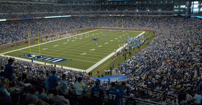 Does ford field have real grass