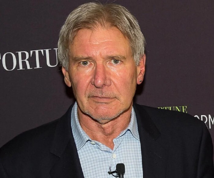 Does harrison ford live in la