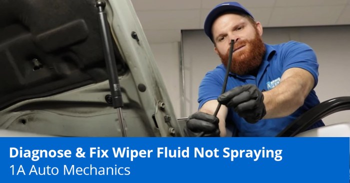 Hyundai wiper fluid hose