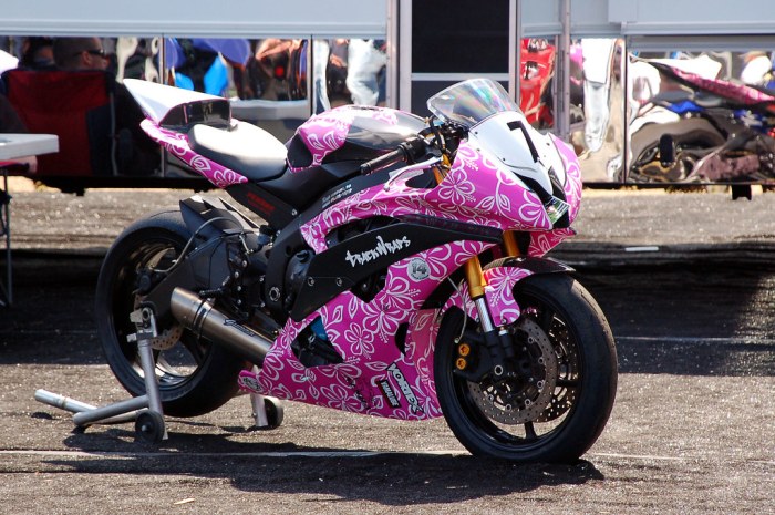 Yamaha r6 pink