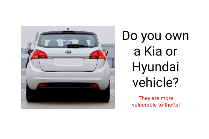 What hyundai models are affected by theft