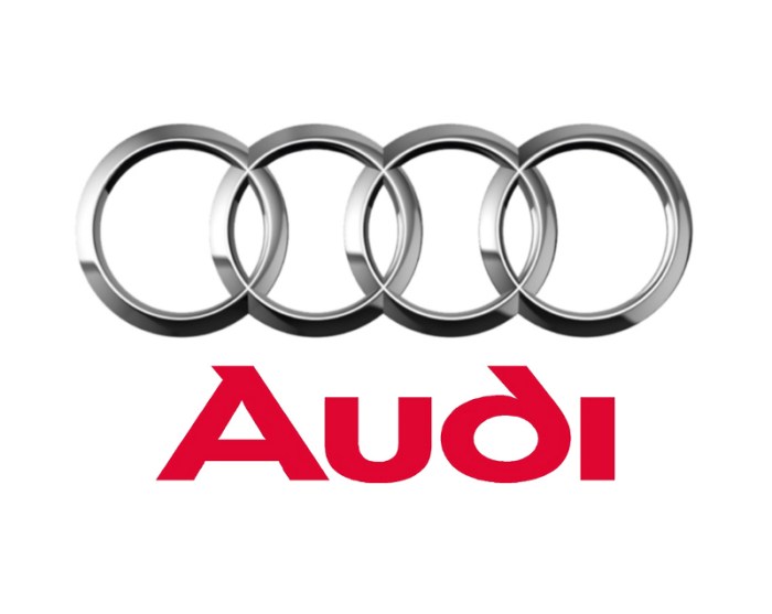 Where is the car company audi from