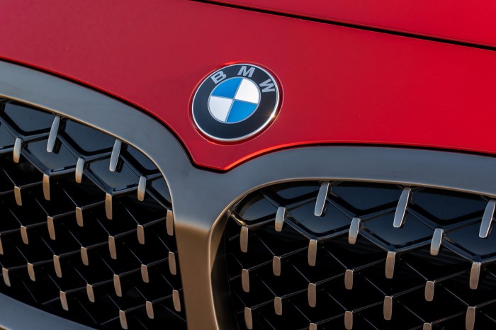 What bmw stands for